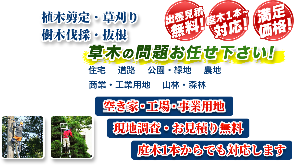 焼津市エリア即対応!! 出張無料! 庭木1本~対応! 満足価格! 植木剪定・生垣刈込 樹木伐採・伐根 草木の問題お任せ下さい! 住宅 道路 公園・緑地 農地 商業・工業用他 山林・森林 伐採保全最長5年保証 現地調査・お見積り無料 庭木1本からでも対応します